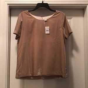 J crew oatmeal colored velvet party top